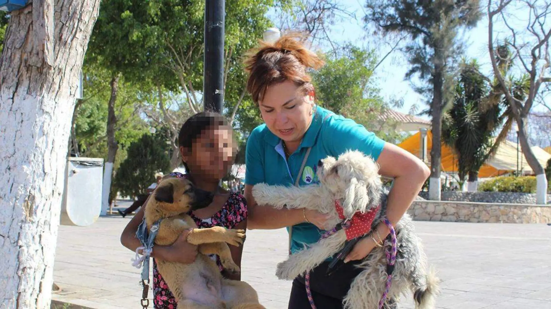 Piden colocar agua para animales callejeros